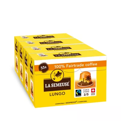 Lungo