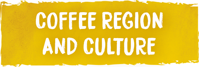 ancre-coffee-region-and-culture