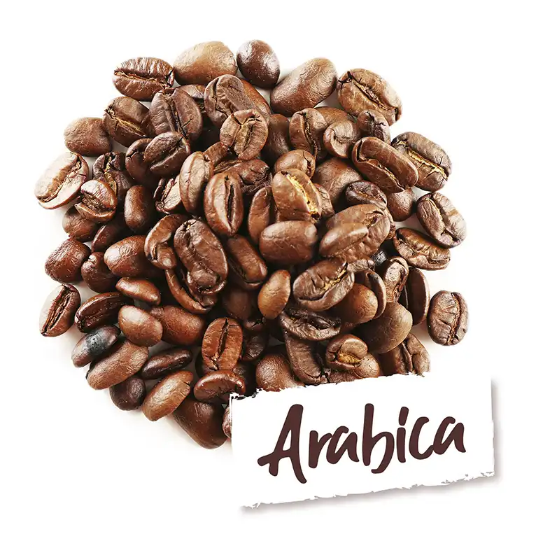 Arabica.webp